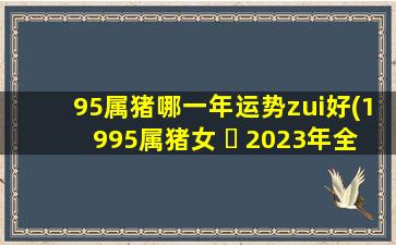 95属猪哪一年运势zui
好(1995属猪女 ☘ 2023年全年运 🍀 势)